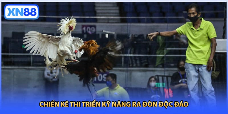 Chiến kê thi triển kỹ năng ra đòn độc đáo